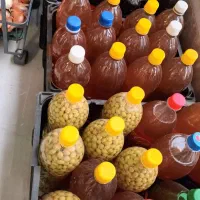 محصولات خانگی ارگانیک و طبیعی