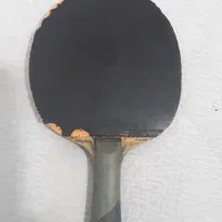 راکت پینگ پونگ (Speedy FL)|ورزش‌های توپی|صدرا-فارس, فاز ۱|دیوار