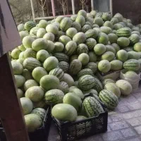 هندوانه قرمز شیرین