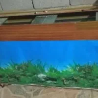 اکواریوم