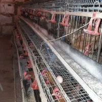 قفس منبری|لوازم جانبی حیوانات|تهران, خاوران|دیوار