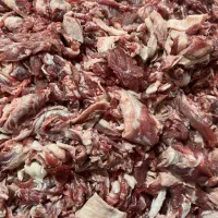 گوشت خورده تپوز عمده