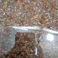 ترشی خانگی|خوردنی و آشامیدنی|تربتحیدریه, باغ ملی|دیوار