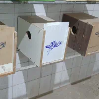 ۲ تا لونه عروس هلندی