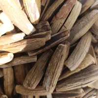 فروش بلوط، با پوست و بدون پوست