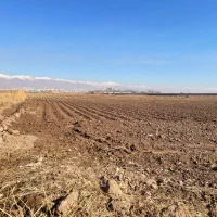 زمین هشتگرد