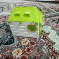 لانه عروس هلندی