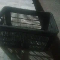 سبد