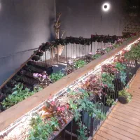 آبیاری قطره ای ،مه پاش و گرین وال|خدمات باغبانی و درختکاری|تهران, یوسفآباد|دیوار