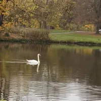 باغ دریامچی مرند