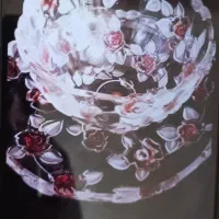 ظروف پذیرایی والتر میوه خوری شیرینی خوری