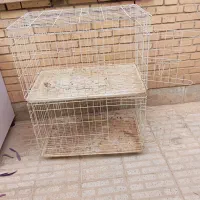 جفتگاه جفت کن پرنده کبوتر طوطی