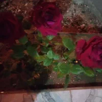 طلا گمشده پارک جنگلی