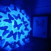 کادو دسته گل پروانه ابی مناسب برای کادو