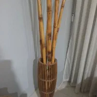 سه عدد گلدان بانی بامبو|گل مصنوعی|مشهد, شهید فرامرز عباسی|دیوار