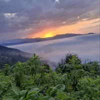 نیازمند یک گالش  مرد