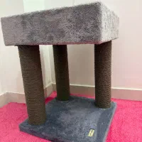 اسکرچر
