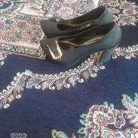 کفش مجلسی|کیف، کفش، کمربند|تربتحیدریه, قائم|دیوار