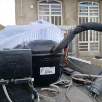 یخچال مغازه|فروشگاه و مغازه|داراب, |دیوار