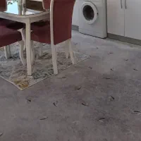 پالاز موکت طوسی ۱۲ متری کاملا سالم خوش نقشه