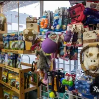 پت شاپ آنلاین