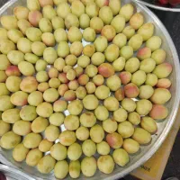 زردآلو برای خشک‌کردن100تومان سیب ابگیری.سیب زمینی