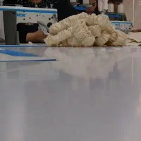 چرخکار حرفه ای