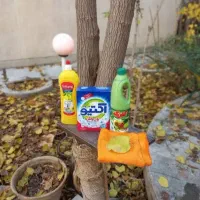 خانم امور منزل