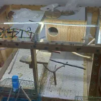 قفس چوبی برای انواع پرندگان