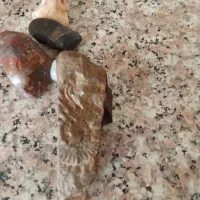 عتیقه وکلکسیونی