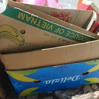 کارتن موز
