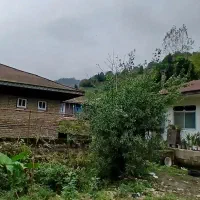 ویلا جنگلی برخط سند دار|فروش خانه و ویلا|احمدسرگوراب, |دیوار