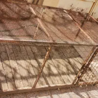 قفس پرندگان