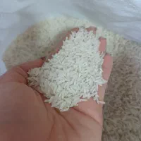 فروش برنج بوجاری شده طارم خوش عطر و خوش پخت