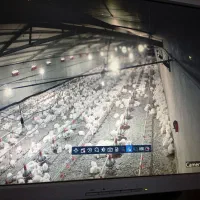 دوربین مداربسته|دوربین مداربسته|جوانرود, |دیوار