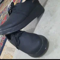 کفش راحتی|کیف، کفش، کمربند|زابل, |دیوار