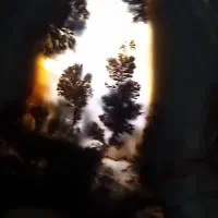 انواع سنگ شجر