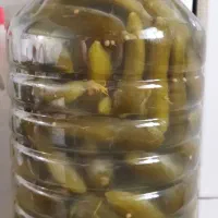 خیار شور تمیز وبهداشتی