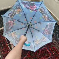 چتر بارونی