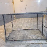 تعدادی وسایل و قفس|فعالیت داوطلبانه تحقیقاتی|سراوان, |دیوار