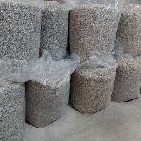 کبوتر،صدف خورد شده ،دانه|پرنده|شیراز, فخرآباد (دروازه کازرون)|دیوار