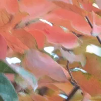 فروش منزل مسکونی