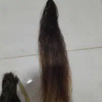 موی طبیعی|آرایشی، بهداشتی، درمانی|اهرم, |دیوار