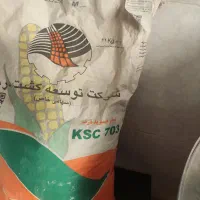 ذرت|کالسکه و لوازم جانبی|دهلران, |دیوار