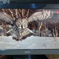 32 اینچ Sony