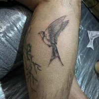 تتو تاتو بدن