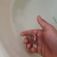 ماهی کوی مایان باله بلند