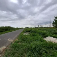 . ۶۰۰ متر زمین خوشقواره با ویو کوه و جنگل هیرکانی