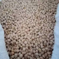 نخود عدس تخمه کدو|خوردنی و آشامیدنی|بهمن صغاد, |دیوار