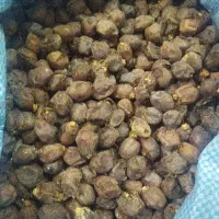 سلام خرما برای گوسفند